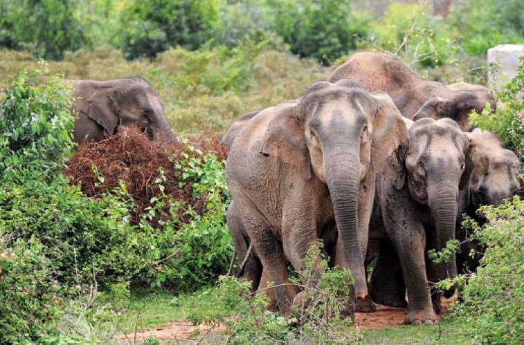 Achanakmar Wildlife Sanctuary